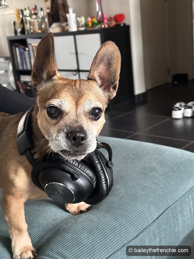 Bailey resting her head on headphones